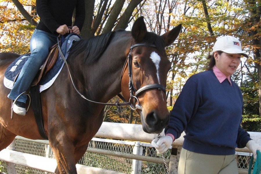 🐎 말 박물관 (우마노하쿠부츠칸) 이미지 9